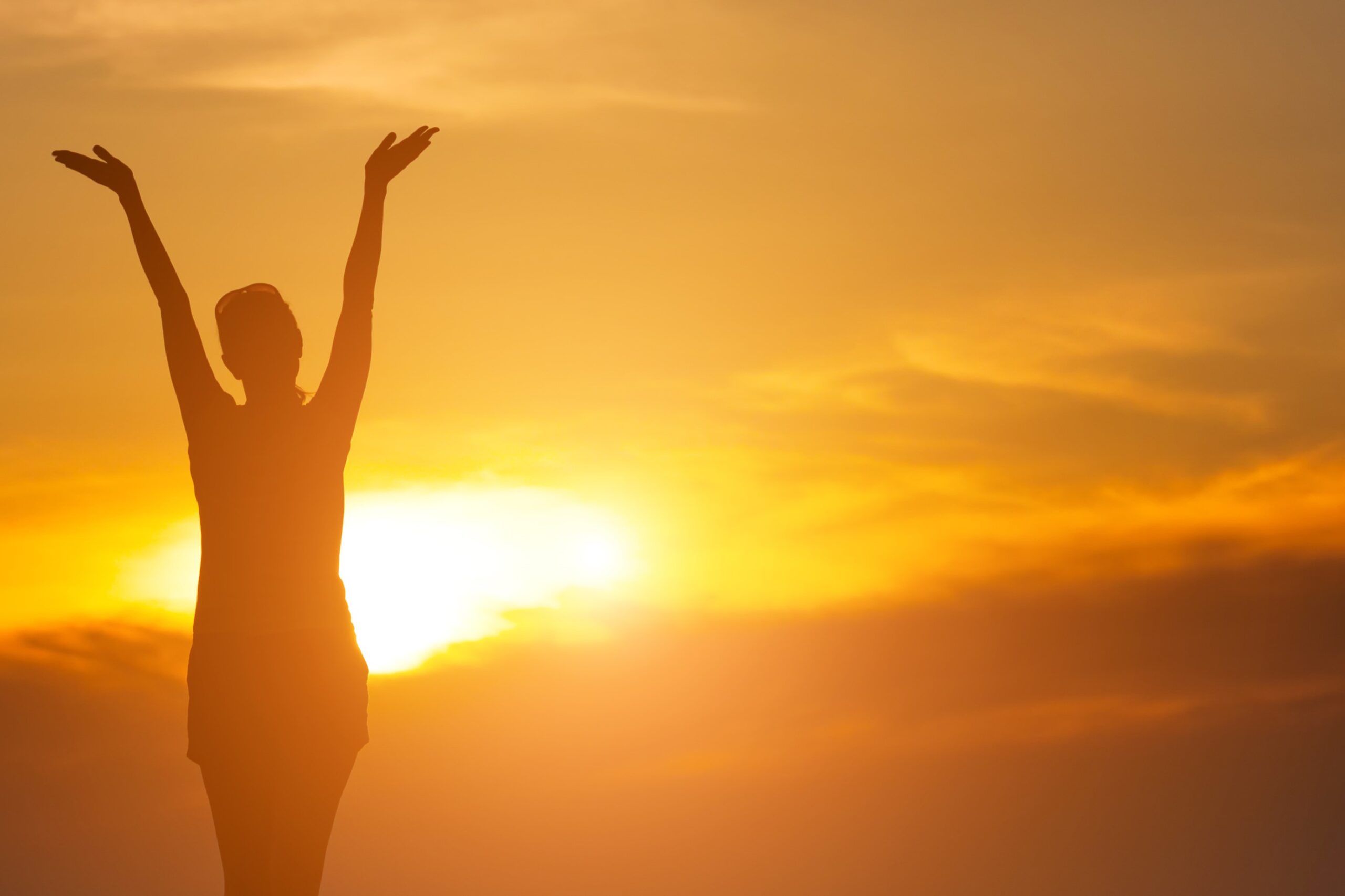 Stepping Stone to Recovery